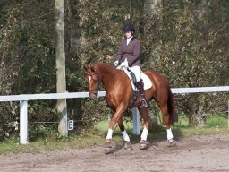 IMG_7881_web